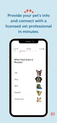 Petzey android App screenshot 0